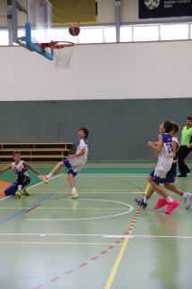 IMG_2993