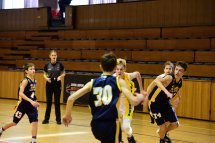 DSC_8686 (Kopírovat)