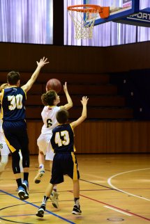 DSC_8695 (Kopírovat)