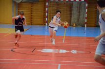 DSC_0109 (Kopírovat)