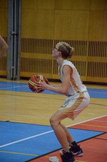 DSC_0018 (Kopírovat)