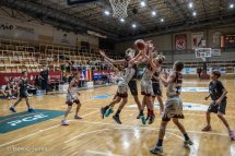 2023.11.18.TS.IMGL6553